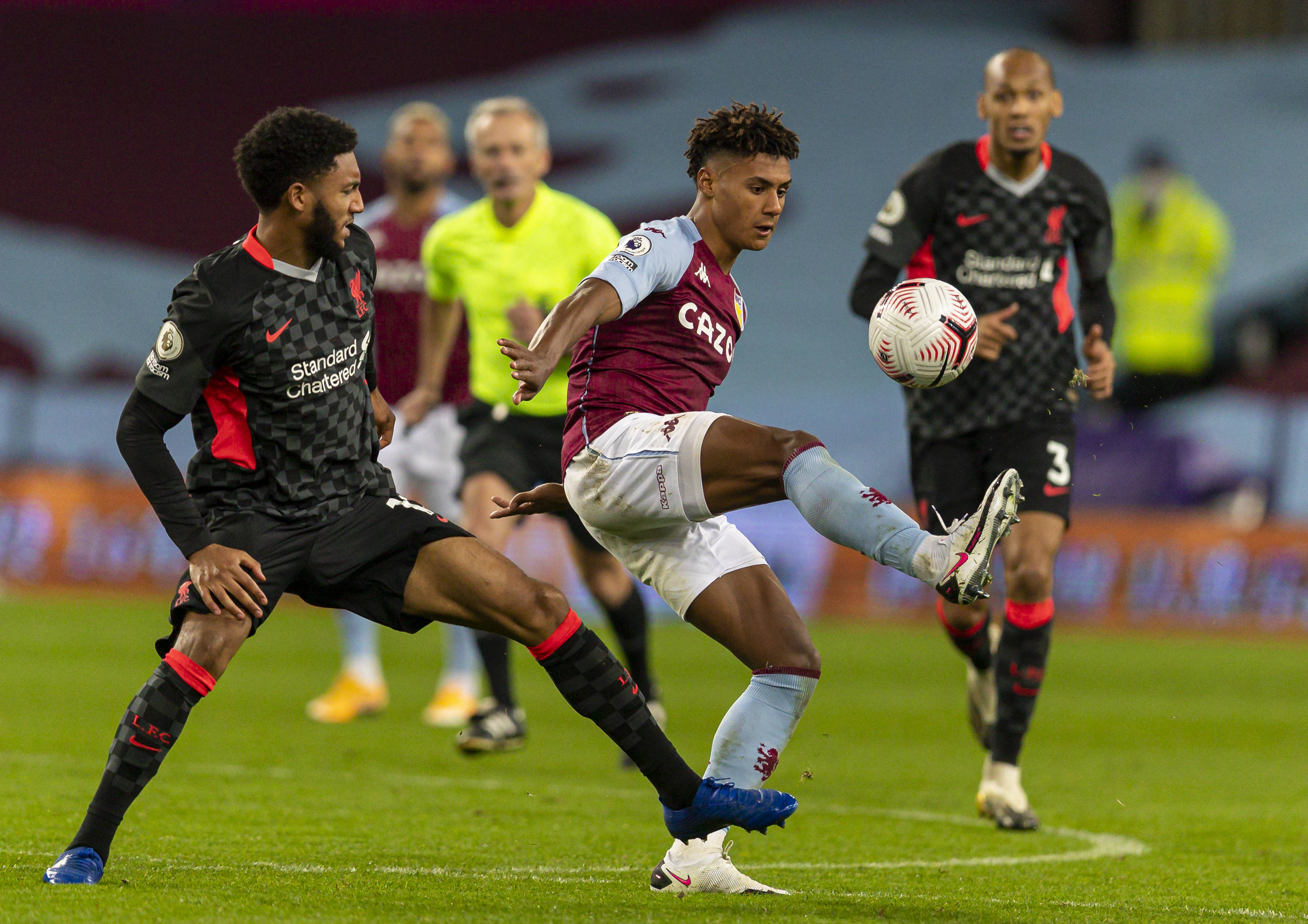 业性与观赏 业性与观赏